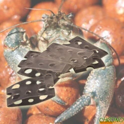 Gaine Anti Ecrevisse Carp Spirit Crayfish Protector